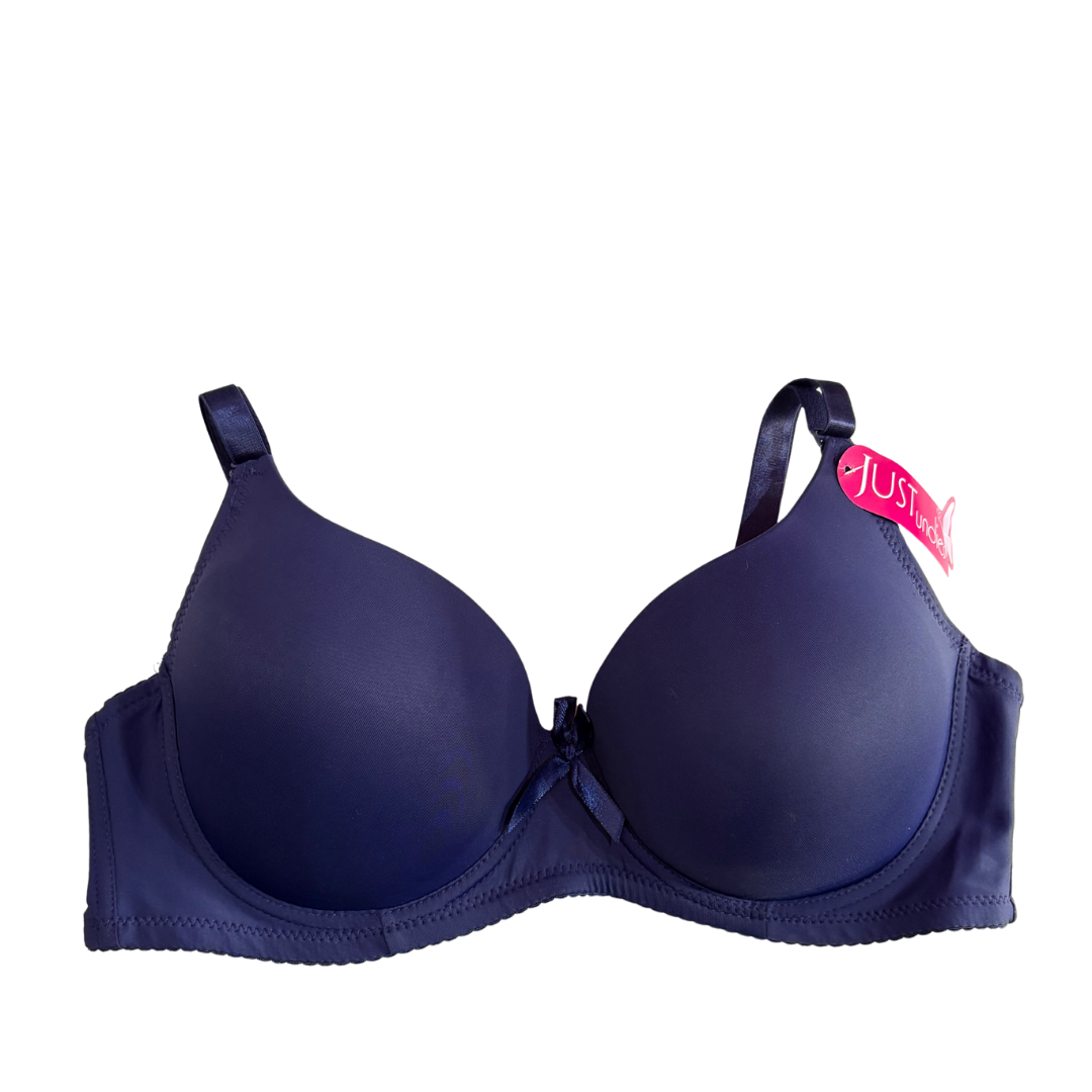 E Cup Bra - Blue
